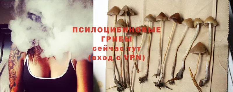 наркотики  Иркутск  Псилоцибиновые грибы MAGIC MUSHROOMS 